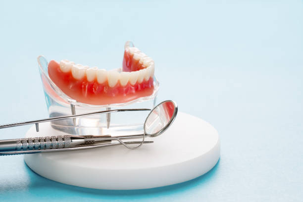 Best Preventive Dentistry  in Cao, ND